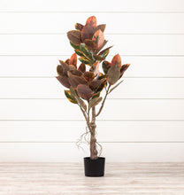 Load image into Gallery viewer, Fall Magnolia Leaf Tree