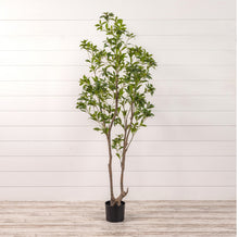Load image into Gallery viewer, Laurel Leaf Tee in Pot