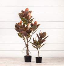 Load image into Gallery viewer, Fall Magnolia Leaf Tree