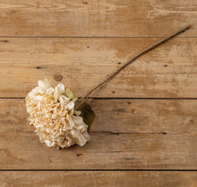 Load image into Gallery viewer, Fall Beige Hydrangea Spray