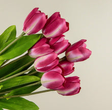 Load image into Gallery viewer, Dark Pink Tulip Bush