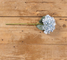 Load image into Gallery viewer, Light Blue Hydrangea Stem