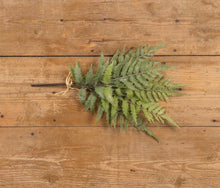Load image into Gallery viewer, Whitewashed Boston Fern Bundle