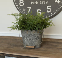 Load image into Gallery viewer, Buckler Fern Stem
