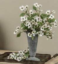 Load image into Gallery viewer, Dogwood Stems
