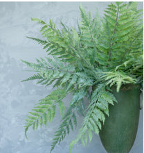 Load image into Gallery viewer, Whitewashed Boston Fern Bundle