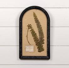 Load image into Gallery viewer, Pressed Fern Arched Frame