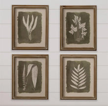 Load image into Gallery viewer, Green Leaf Botanical Framed Prints