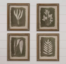 Load image into Gallery viewer, Green Leaf Botanical Framed Prints