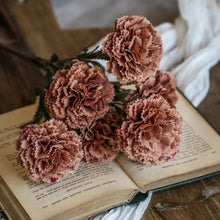 Load image into Gallery viewer, Terra Cotta Carnation Stem