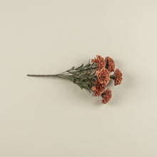 Load image into Gallery viewer, Terra Cotta Carnation Stem