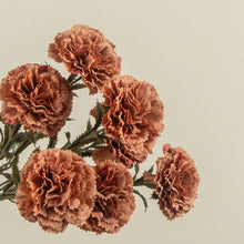 Load image into Gallery viewer, Terra Cotta Carnation Stem