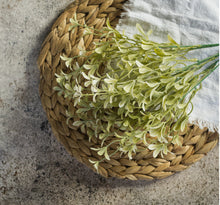 Load image into Gallery viewer, Light Green Ella Stem