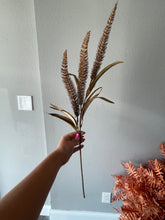 Load image into Gallery viewer, Coffee Bristlegrass Stem
