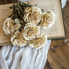 Load image into Gallery viewer, Golden Carnation Stem