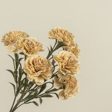 Load image into Gallery viewer, Golden Carnation Stem