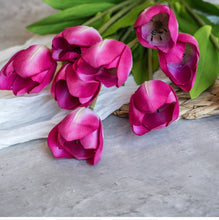 Load image into Gallery viewer, Dark Pink Tulip Bush