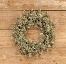 Load image into Gallery viewer, Mini Ficus Wreath
