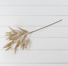 Load image into Gallery viewer, Leaf grassy stem