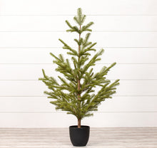 Load image into Gallery viewer, small green tree w/ black pot