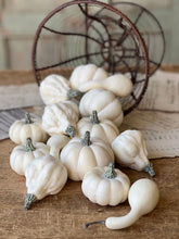 Load image into Gallery viewer, Bagged Fall&#39;s Folly Mini Pumpkins