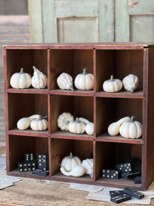 Bagged Fall's Folly Mini Pumpkins