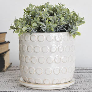 Ceramic Dot Planter