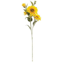 Load image into Gallery viewer, Sunflower Blooms
