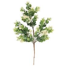 Load image into Gallery viewer, Seeded Eucalyptus Stem