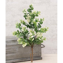 Load image into Gallery viewer, Seeded Eucalyptus Stem