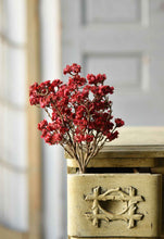 Load image into Gallery viewer, Orchard Blooms Bush