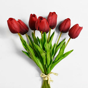 Red Tulip Time