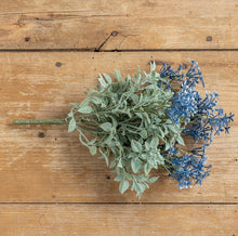 Load image into Gallery viewer, Dark Blue Star Flower &amp; Pea Leaf Bush