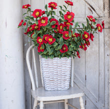 Load image into Gallery viewer, Red Anemone Spray