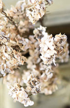 Load image into Gallery viewer, Orchard Blooms Bush