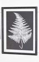 Load image into Gallery viewer, Black &amp; White Fern Wall Decor