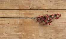 Load image into Gallery viewer, Red Flowering Twig Stem