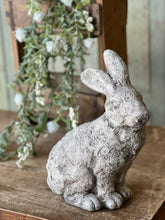 Load image into Gallery viewer, Peter Rabbit