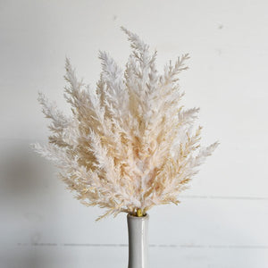 Fluffy White Pampas Bunch