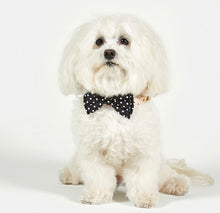 Load image into Gallery viewer, Pet Bow Ties