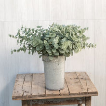 Load image into Gallery viewer, Sparkling Eucalyptus stems