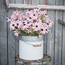 Load image into Gallery viewer, Pink Black-Eyed Susan