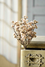 Load image into Gallery viewer, Orchard Blooms Bush