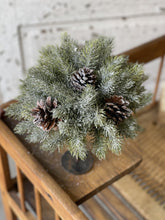 Load image into Gallery viewer, Icy Aspen Pine Half Sphere