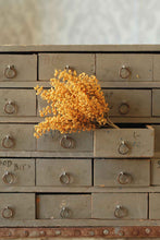 Load image into Gallery viewer, Pumpkin Bursting Astilbe Stems