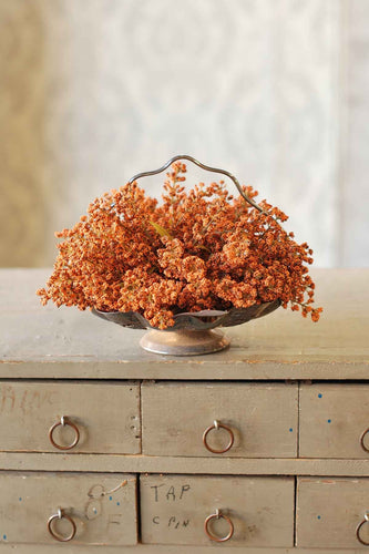 Pumpkin Bursting Astilbe Half Sphere