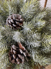 Load image into Gallery viewer, Icy Aspen Pine Half Sphere