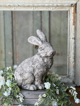 Load image into Gallery viewer, Peter Rabbit