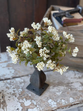 Load image into Gallery viewer, Linden Berry Cream Stems