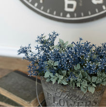 Load image into Gallery viewer, Dark Blue Star Flower &amp; Pea Leaf Bush